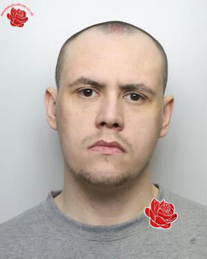 Adam Martin – profile image