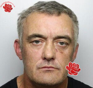 Karl Hill – profile image