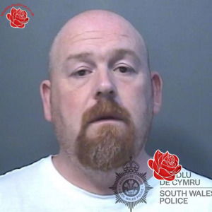 Alexander Wilson – profile image