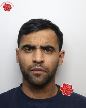 Omar Safdar – profile image