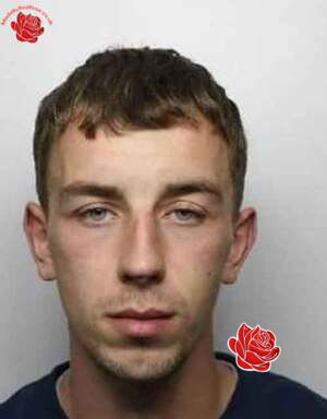 Nathan Scotting – profile image