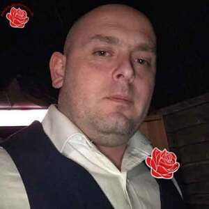 Daniel Robertson – profile image