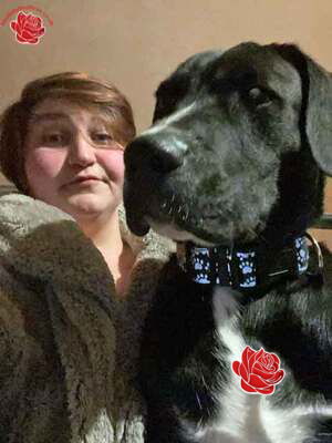 Linda, Joanna-Beth and Dean Robinson – profile image