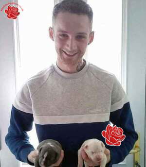 Joseph McWilliams – profile image