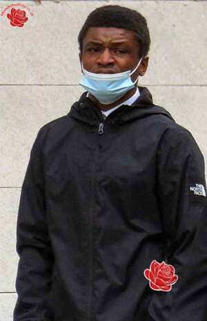 Storm Williams – profile image