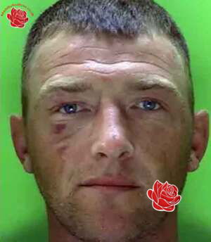 Daniel Taylor – profile image