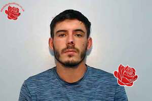Liam Rainey – profile image