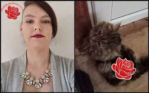 Elisha Walker – profile image