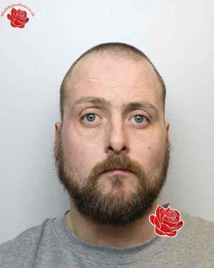 Daniel Pickard – profile image