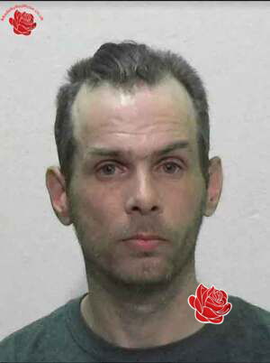 David Lee – profile image