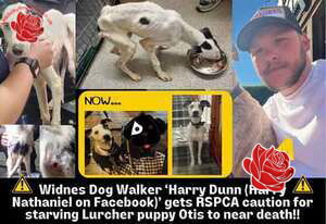 Harry Dunn – profile image