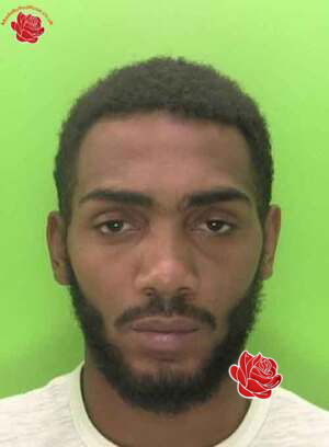 Izzac Campbell – profile image