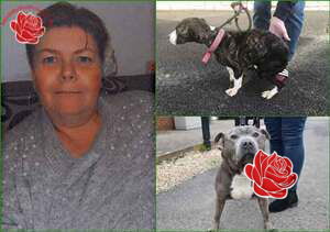 Kenneth Thomas and Denise Warner – profile image