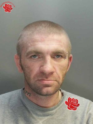 Derek Adamson – profile image