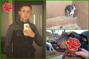 Benny Eastwood – profile image