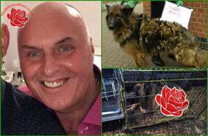 James Adamson – profile image