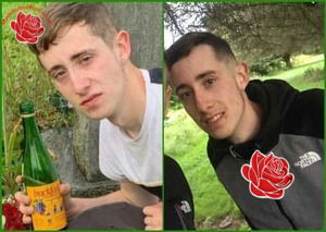 Niall Sheridan – profile image