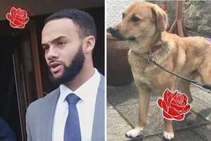 Nathan Williams – profile image
