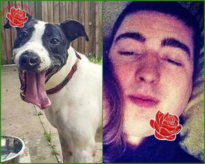 Liam Taylor – profile image