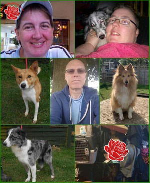 Stephen Flitton, Susie Tower and Leanne Richardson – profile image