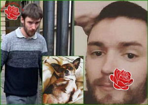 David Aird – profile image