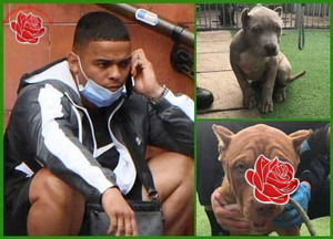 Chevez Davies – profile image
