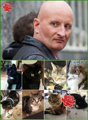 Stephen Bouquet – profile image