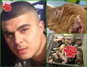 Adam Malik – profile image