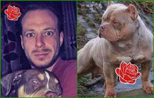 Damien Firth – profile image