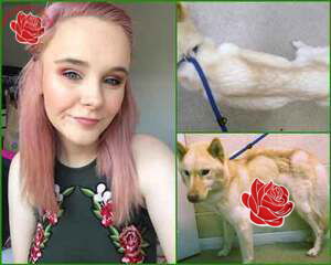 Ayla Gilchrist – profile image