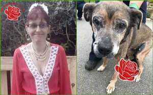 Karen Creswell – profile image