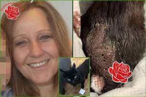 Karen Howell – profile image