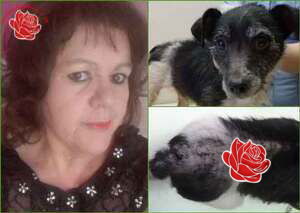 Jacqueline Blackmore – profile image