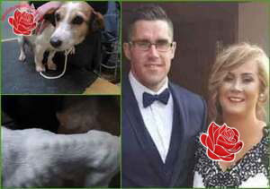 Seamus and Stacey Lee – profile image