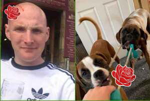 Stephen New – profile image