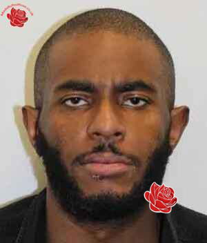 Stefan Wallace – profile image
