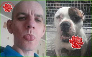Wayne McGrath – profile image
