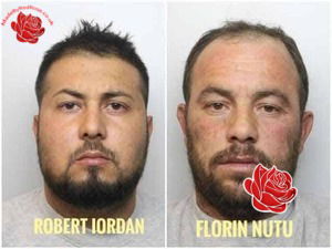 Robert Iordan, Florin Nutu and Viorel Manu – profile image