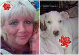 Sharon Hayes – profile image