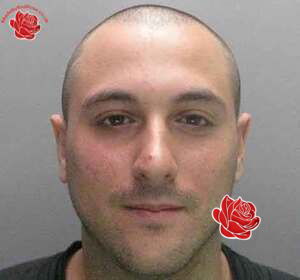 David Morton – profile image