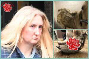 Amanda Thorne – profile image