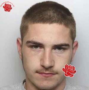 Reece Reed – profile image