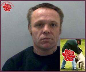 Robert Black – profile image