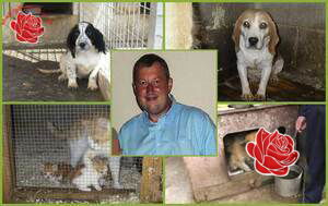Mark Burgess – profile image