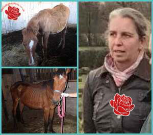 Annette Nally – profile image