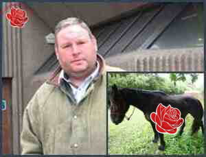 Ronnie Wheeler – profile image