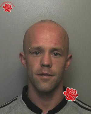 Daniel O’Sullivan – profile image