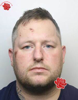 Ian White – profile image