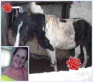 Deborah Hunt – profile image