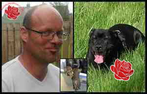 Andrew Bayne – profile image